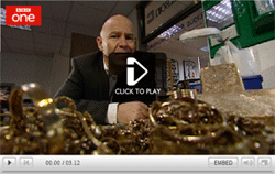 See Post Gold for Cash on The One Show